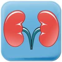 Renal Disease Kidney Diet Tips