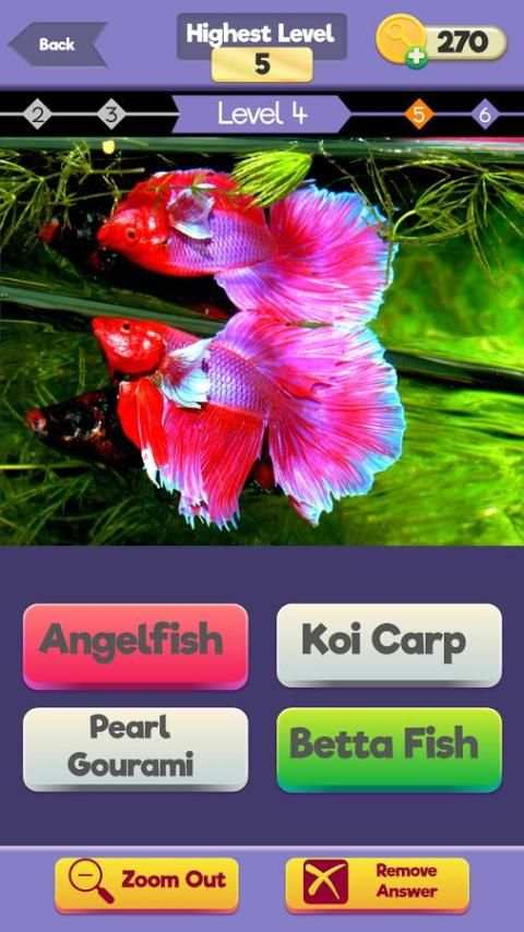 Zoom Trivia - Animals Edition screenshot 11