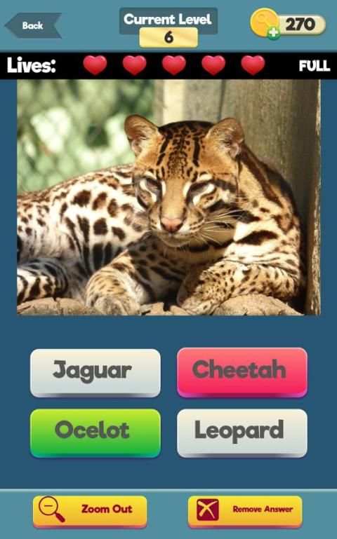 Zoom Trivia - Animals Edition screenshot 3