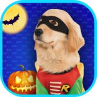 Halloween Pets: Dress Up Games on 9Apps