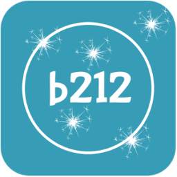 B212 Selfie Camera 1.0