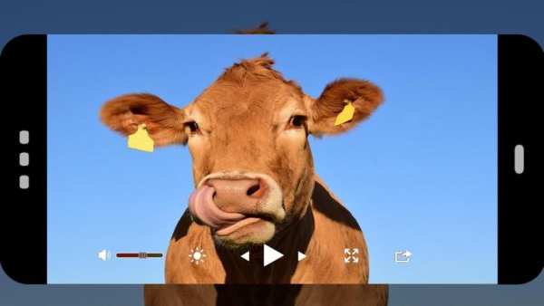 vedio Golde player HD скриншот 6