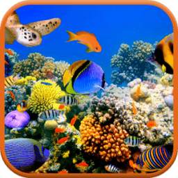 Sea Life 3D Video Wallpaper