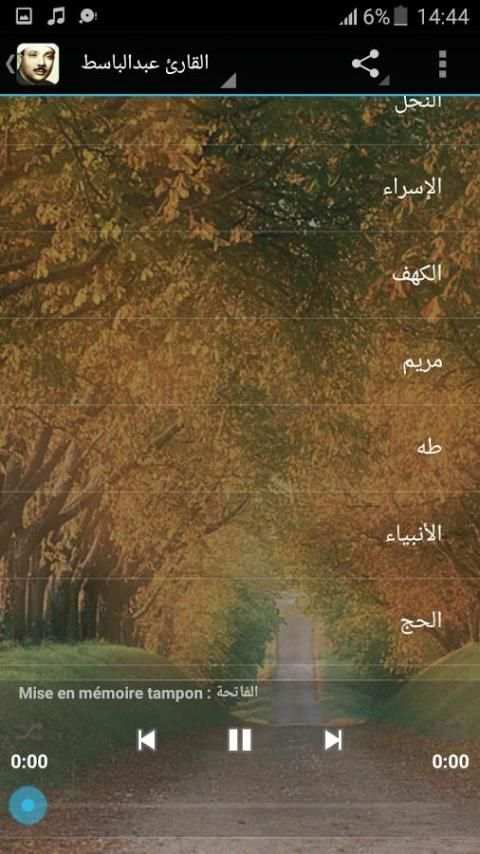 القران الكريم بصوت عبدالباسط screenshot 4