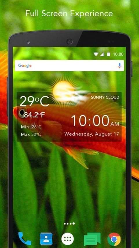Clown Fish Live Wallpaper screenshot 6