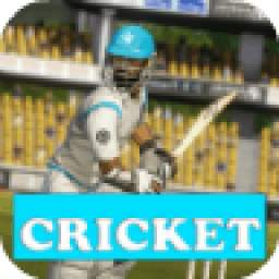 Cricket 1.0