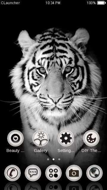 White Tiger Theme screenshot 1
