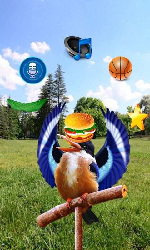 Real Talking Bird скриншот 5