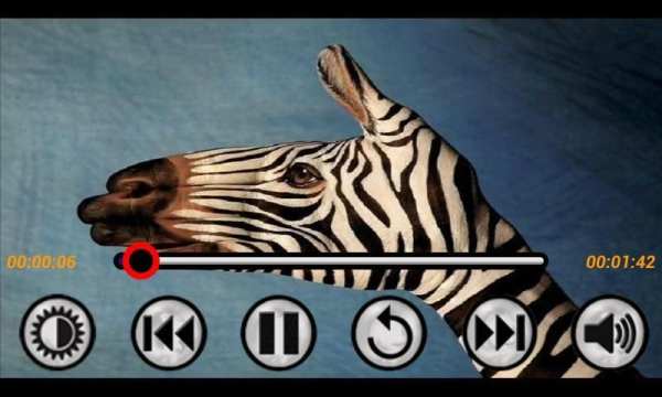 MP4/FLV HD Tube Video Player скриншот 1