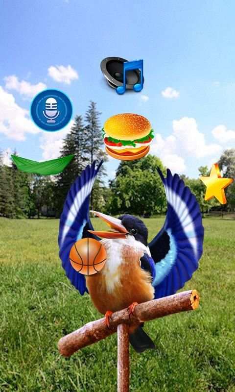 Real Talking Bird скриншот 3