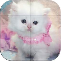 Tile Puzzles - Cats