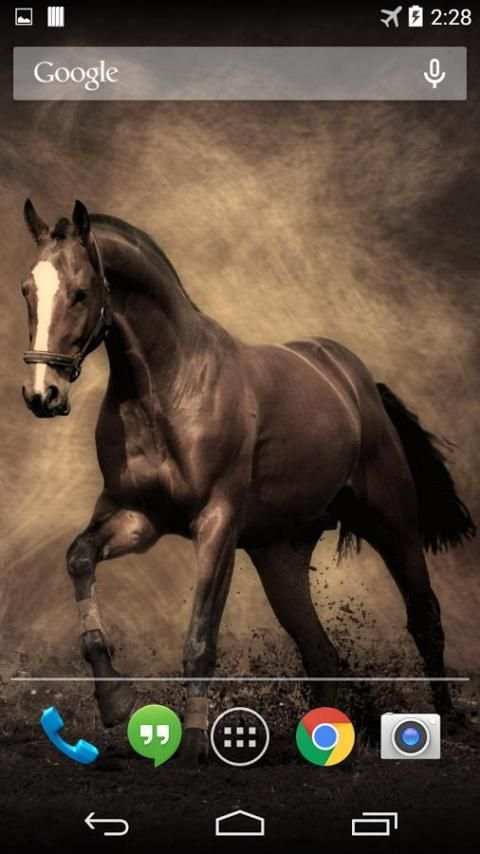 Horse Live Wallpaper FREE 4 تصوير الشاشة