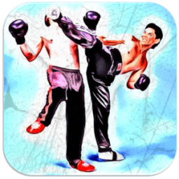 الكيك بوكسينغ القتال أيقونة