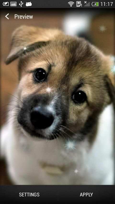 Cute Live Wallpaper screenshot 4