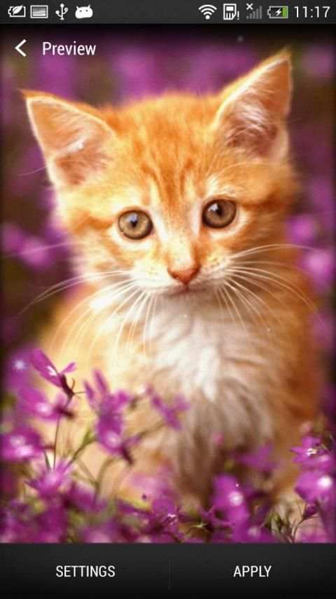 Cute Live Wallpaper screenshot 3