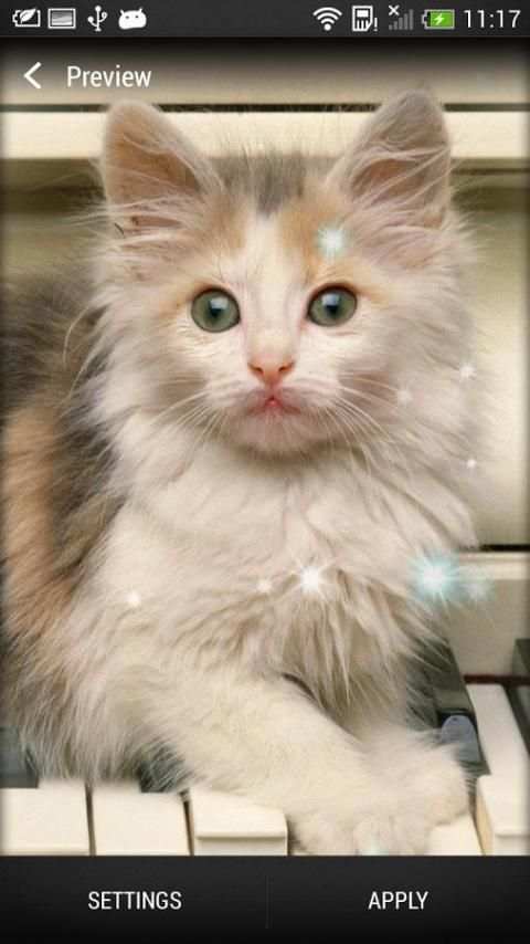 Cute Live Wallpaper screenshot 6