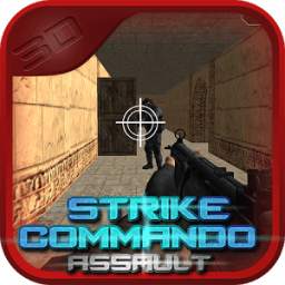 Assassin Strike Commando