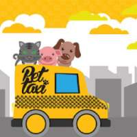 Pet Taxi Campinas