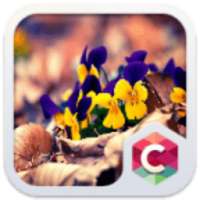 Crystal Flower Clauncher Theme on 9Apps