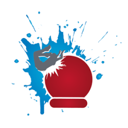 WipeOut Nederland icon
