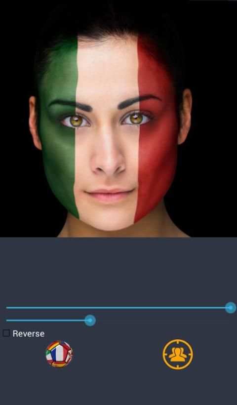 Flag euro 2016 face& half-face 1 تصوير الشاشة