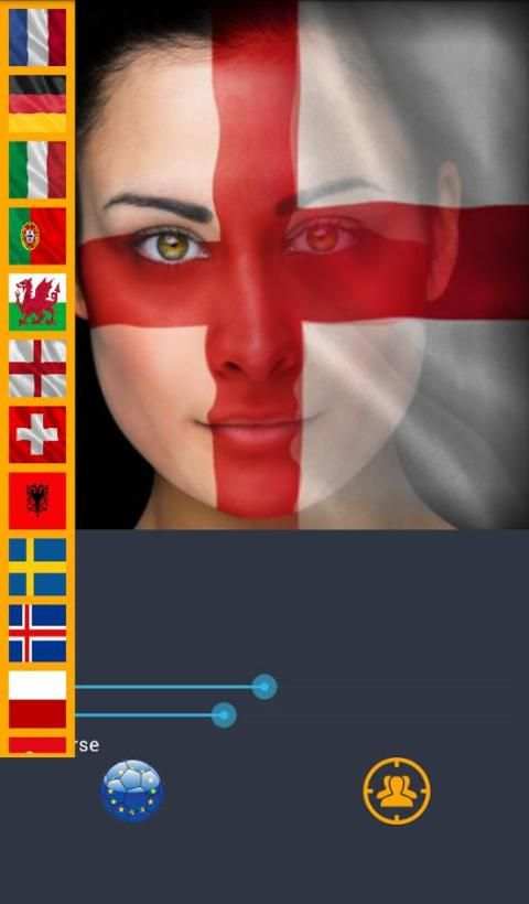 Flag euro 2016 face& half-face скриншот 6