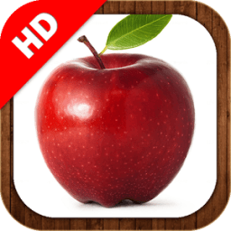 Fruits Learning icon