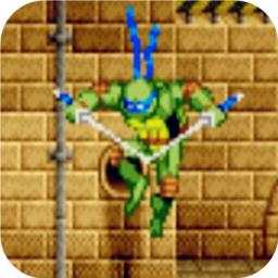 Teenage Mutant Ninja Turtles 2.5