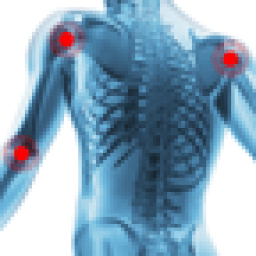 İnsan Vücudu иконка