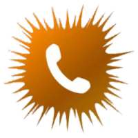 Call recorder automatic