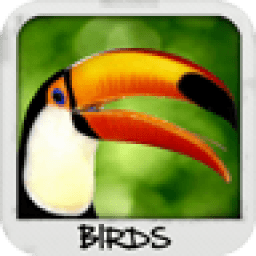 Birds Wallpapers иконка
