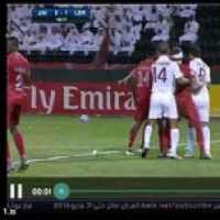 TV Olahraga Internasional