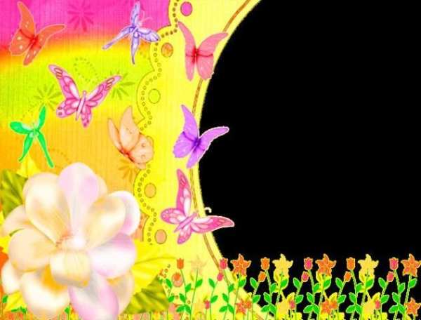 Butterfly Photo Frames screenshot 1