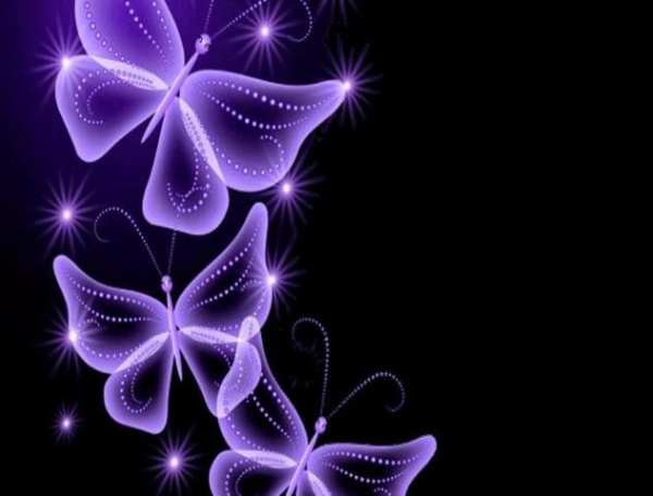 Butterfly Photo Frames screenshot 4