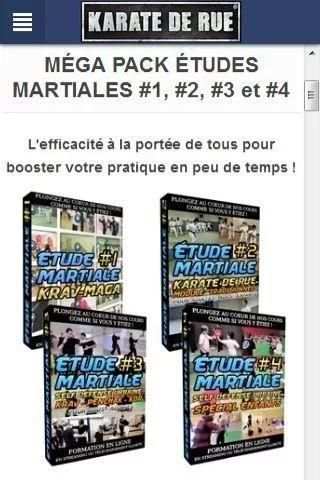 Karaté de Rue screenshot 3