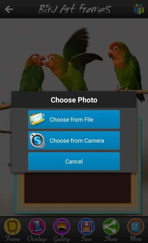 Bird Art Frames 3 تصوير الشاشة