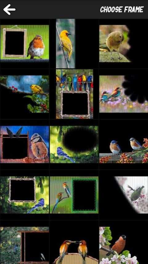 Bird Art Frames 2 تصوير الشاشة