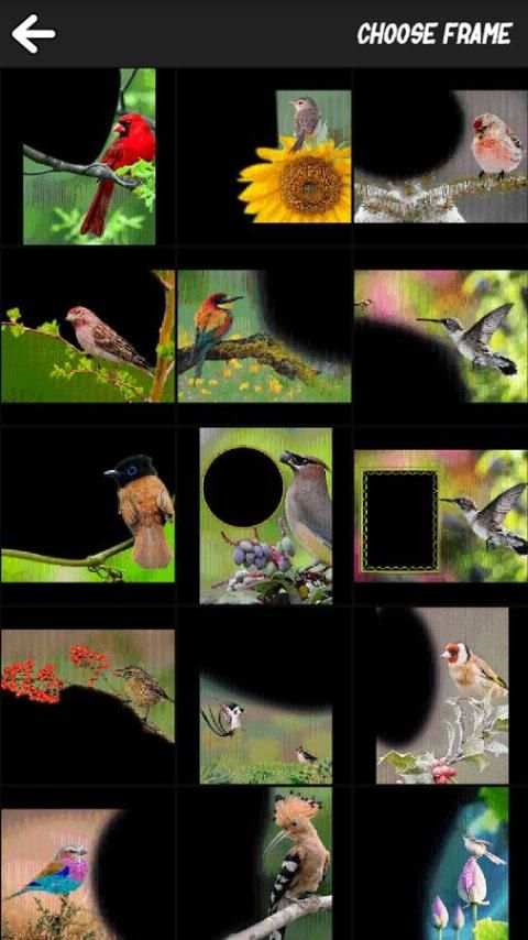Bird Art Frames 1 تصوير الشاشة