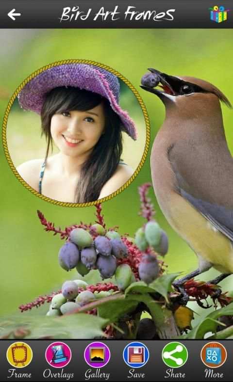 Bird Art Frames 8 تصوير الشاشة