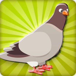 Spotted Dove Bird Sounds иконка