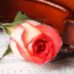 Glitter Rose Music Notes Live Wallpaper иконка