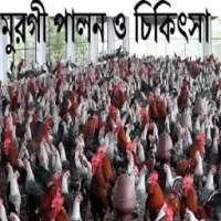 মুরগী পালন ও চিকিৎসা