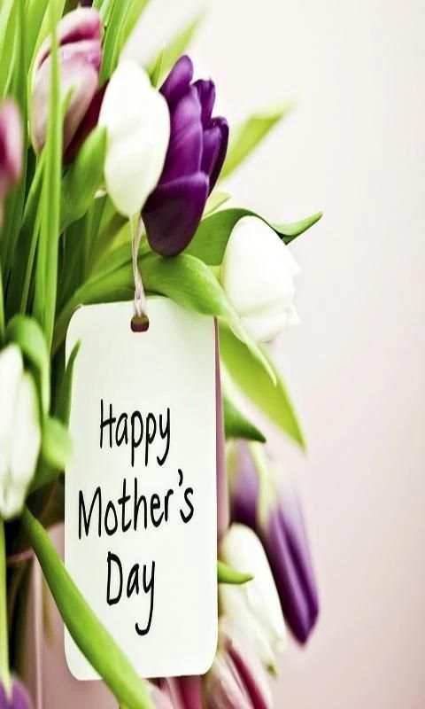 Happy Mother's Day Wishes 4 تصوير الشاشة