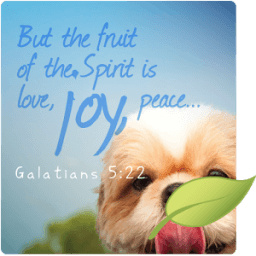 ikon Animal Christian Wallpapers S