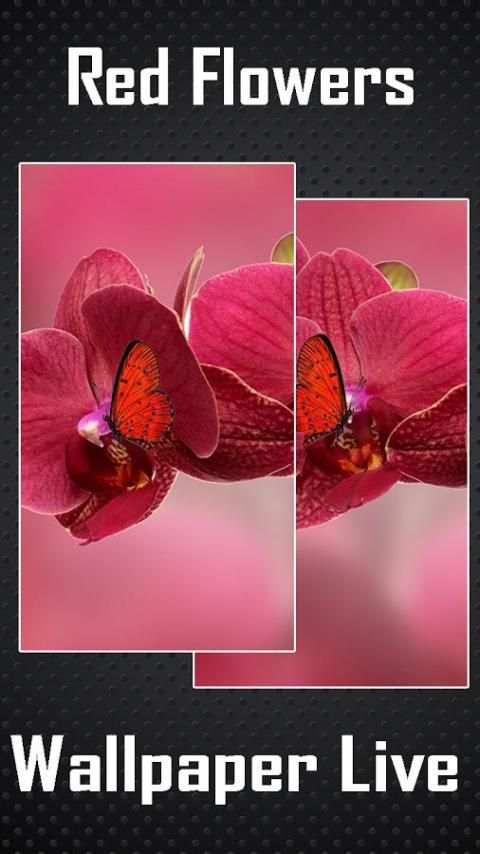 Red Flowers Wallpaper Live screenshot 3