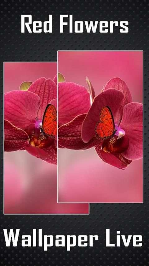 Red Flowers Wallpaper Live screenshot 2