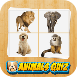 ikon Funy Animals Quiz 1 pic 1 word