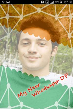 Digital India DP for Whatsapp screenshot 4