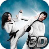 Karate Fighting Tiger 3D