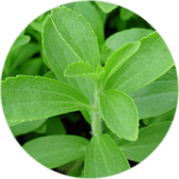 Stevia ☘ icon